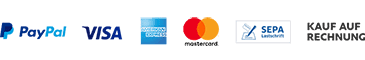 Logos Zahlungsarten Onlineshop Paypal Visa Rechnung Mastercard Sepa