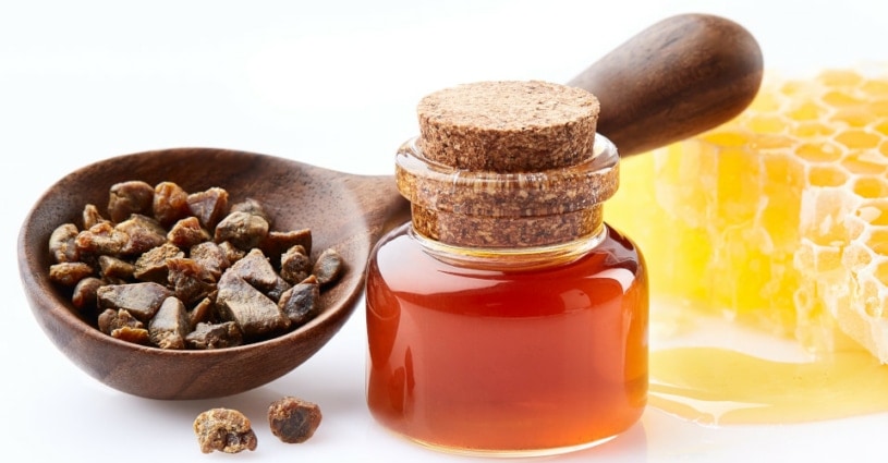 Bild von Bienenprodukten und Propolisprodukte: Rohpropolis und Propolis-Tinktur